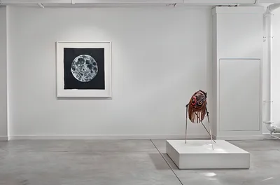 20100925 Alex Fischer 131 O'Born Contemporary 01 Spider From Venus documentation.jpg
